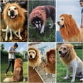 thumbnail image 5 of Funny Pet Headgear Transformative Dog Wig Accessory for Hilarious Dress Up Moments, 5 of 8