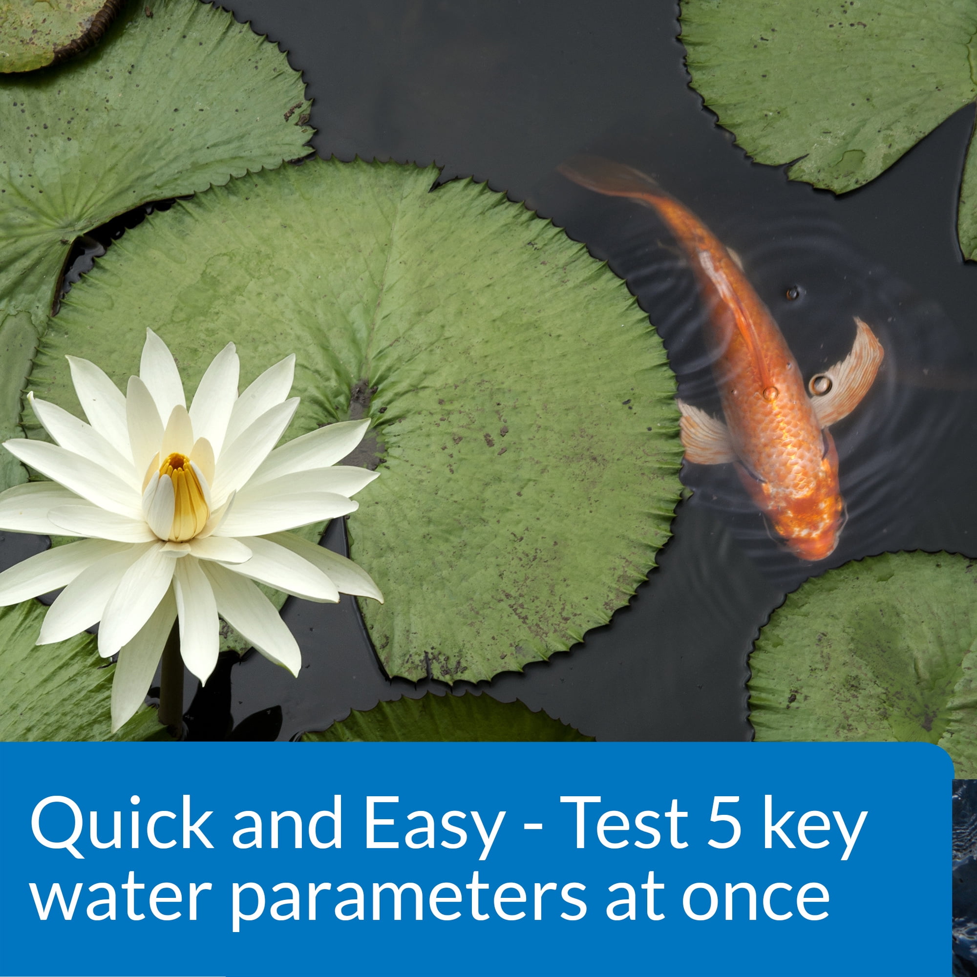 API Pond 5 In 1 Pond Test Strips, Pond Water Test Strips, 25-Count