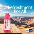 thumbnail image 2 of Glacéau Vitaminwater Variety Pack Nutrient Enhanced Water 16.9 fl. oz., 18 pk, 2 of 6