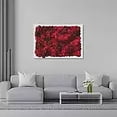 thumbnail image 2 of Red Roses - White Frame, 2 of 2