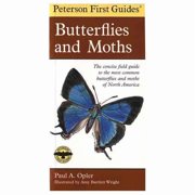Peterson First Guide Pfg to Wildflowers of Northeastern and North-Central North America, Book 13, (Paperback)