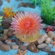 thumbnail image 4 of Ocean Animal Figurine Octop Jellyfish Stingray Coral Squid Sea Life Plastics l Action Figure Childr Educational Toy Gift, 4 of 6