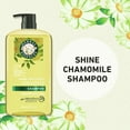 Herbal Essences Shine Shampoo, Chamomile, 29.2 fl oz
