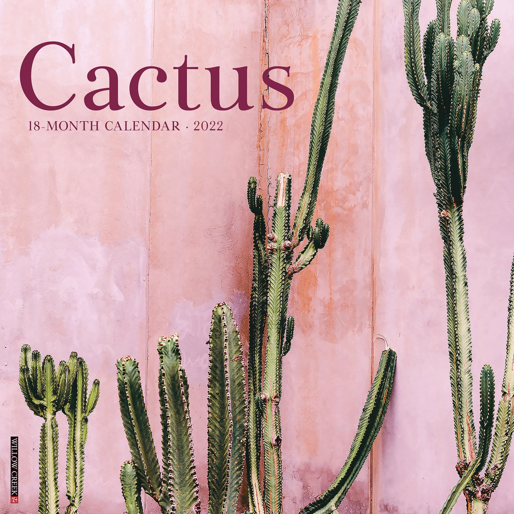 Willow Creek Press Cactus 2022 Wall Calendar - Walmart.com