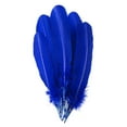 thumbnail image 1 of Zucker Feather Products Turkey Quills by Pound - Left Wing - 10-12" - Royal, 1 of 2