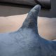 thumbnail image 3 of 60/80/100/140cm big toy plush shark stuffed animal Cute sleeping pillow soft toys Pillow shark stuffed gift for children 100cm Blue, 3 of 6