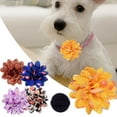 thumbnail image 3 of CBFFDC Pet Accessories 10Pcs Pet Collar Flower Charms Bright Color Exquisite Pattern Pet Collar Slide Attachment Grooming Accessories with Elastic Band, 3 of 5