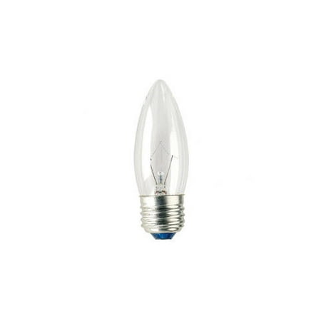 Bulbrite Industries 120-Volt Incandescent Light Bulb (Set of 22)