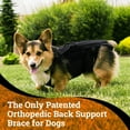 View all media
