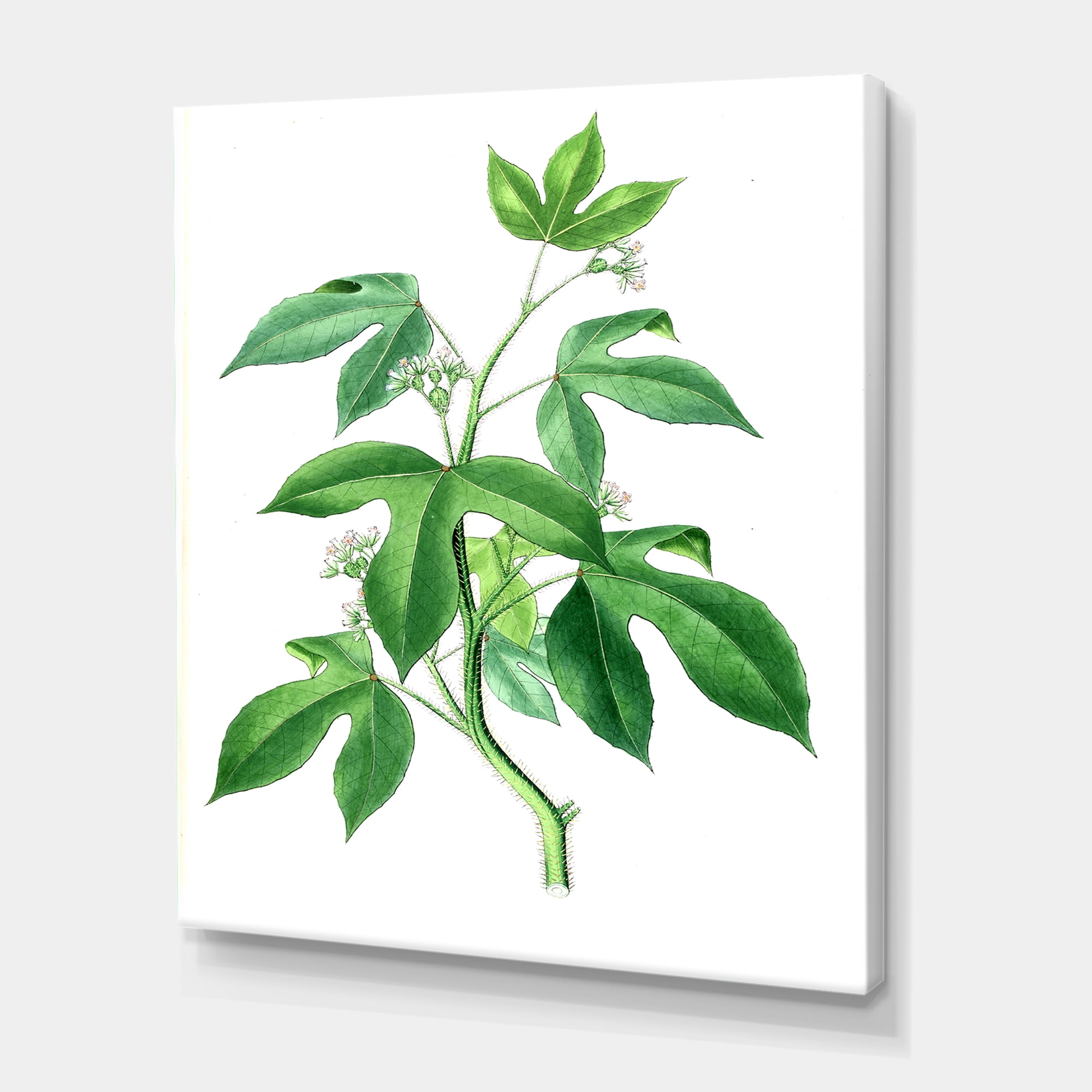 Designart ' Ancient Green Leaves Plants V ' Traditional Canvas Wall Art Print