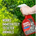 Squirrel Stopper Repellent - Safe & Effective, All Natural Food Grade