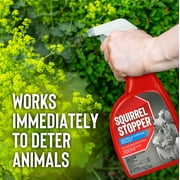 Messinas Squirrel Stopper Animal Repellent ، 32oz Trigger Ready tp Use ، يكرر السناجب والسنجاب