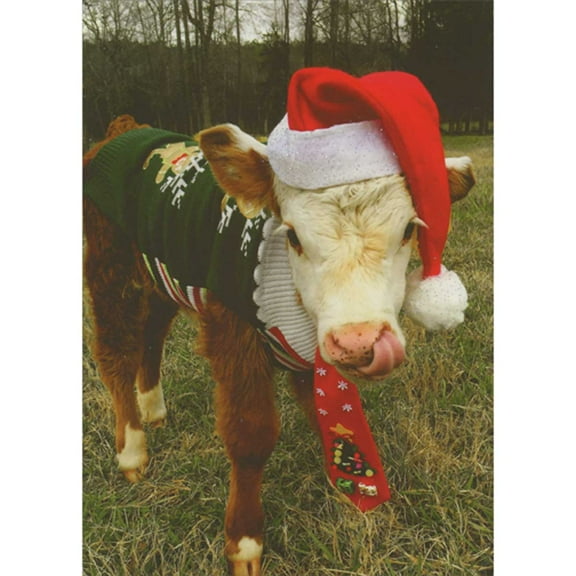 Northern Exposure Cow in Green Holiday Sweater and Wearing Red Santa Hat Photo Box of 12 Funny / Humorous Christmas Cards