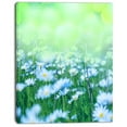 thumbnail image 2 of Chamomile Flowers on Green Background - Large Flower Canvas Art Print, 2 of 3