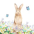 thumbnail image 2 of Pinto, Patricia 12x12 Gold Ornate Wood Framed with Double Matting Museum Art Print Titled - Spring Brown Bunny, 2 of 4
