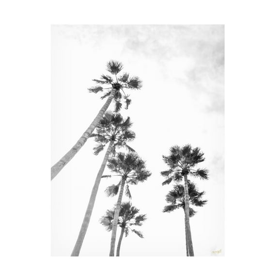 Canvas Wall Art - Life BeautifuLEE 'Palm To Skies' Wall Art for Living Room, Bedroom, or Office Décor by Trademark Fine Art - 14 x 19 Inches