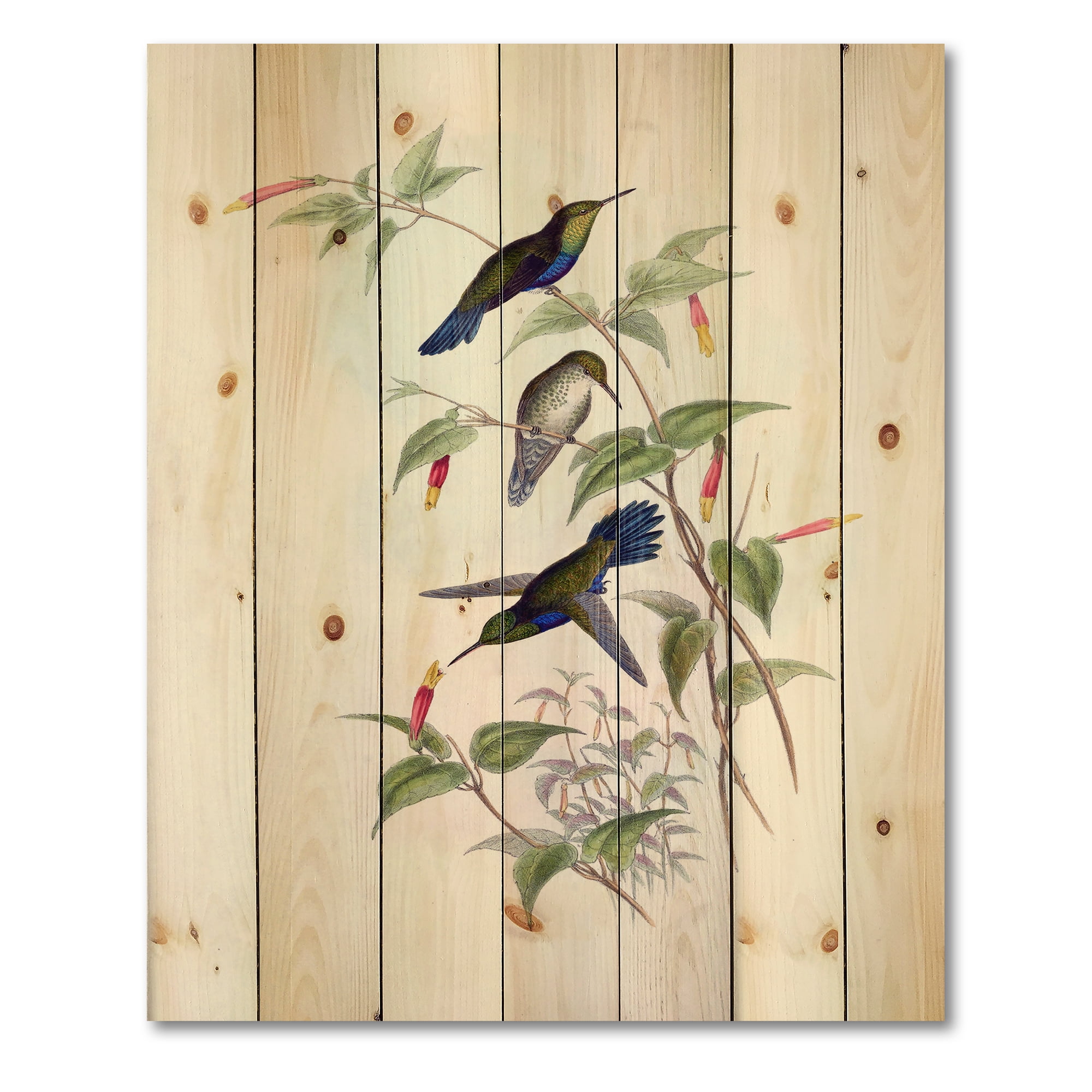 Designart 'Ancient Hummingbird I' Traditional Print on Natural Pine Wood