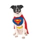 thumbnail image 2 of DC Comics Pet Costume, Superman, Medium, 2 of 5