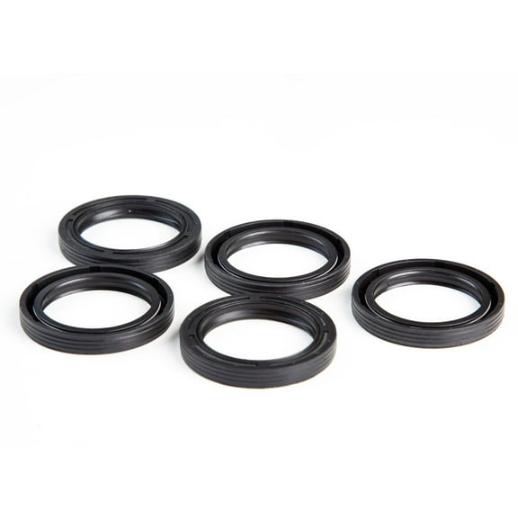Briggs & Stratton 4115 Oil Seal