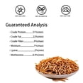 thumbnail image 4 of Gusanos de la harina deshidratados I LOVE WORMS 2,3 kg alimento para aves rico en proteínas, 4 of 6