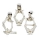 thumbnail image 3 of Resin Thinker Skeleton Statue for Decoration 3Pcs White Halloween Figurines, 3 of 5