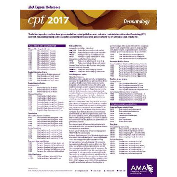 95  Ama Coding Books 2017 with Best Writers