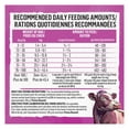 thumbnail image 3 of Beyond Simply Farm-Raised Beef, Barley & Free Run Egg Recipe, Dry Dog Food 9.5KG, 3 of 9