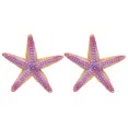 thumbnail image 2 of Estrella De Mar De Resina, Juguete De Estrella De Mar Aspecto Lindo Colores Brillantes Textura única Para Adorno Para Regalos, 2 of 7