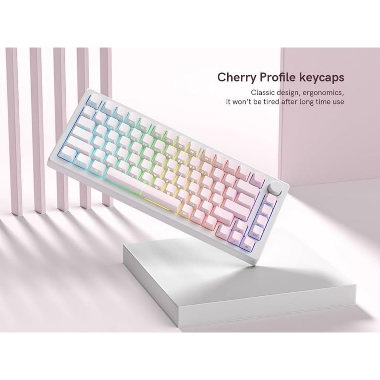 Womier Shine Through - PBT keycaps,Side Printed Keyboard