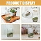 thumbnail image 4 of Terrario de vidrio, maceta de vidrio, soporte transparente para plantas con tapa, terrario de musgo, 4 of 7