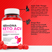 (1 Pack) Slim DNA Keto ACV Gummies - Supplement for Weight Loss - Energy & Focus Boosting Dietary Supplements for Weight Management & Metabolism - Fat Burn - 60 Gummies