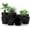 Black, variant on - Plant Pots Indoor with Drainage - 7/6.6/6/5.3/4.8 Inches Home Decor Flower Pots - Plastic Planters for Indoor Plants, Cactus, Succulents Pot (Mint, Pack of 10)