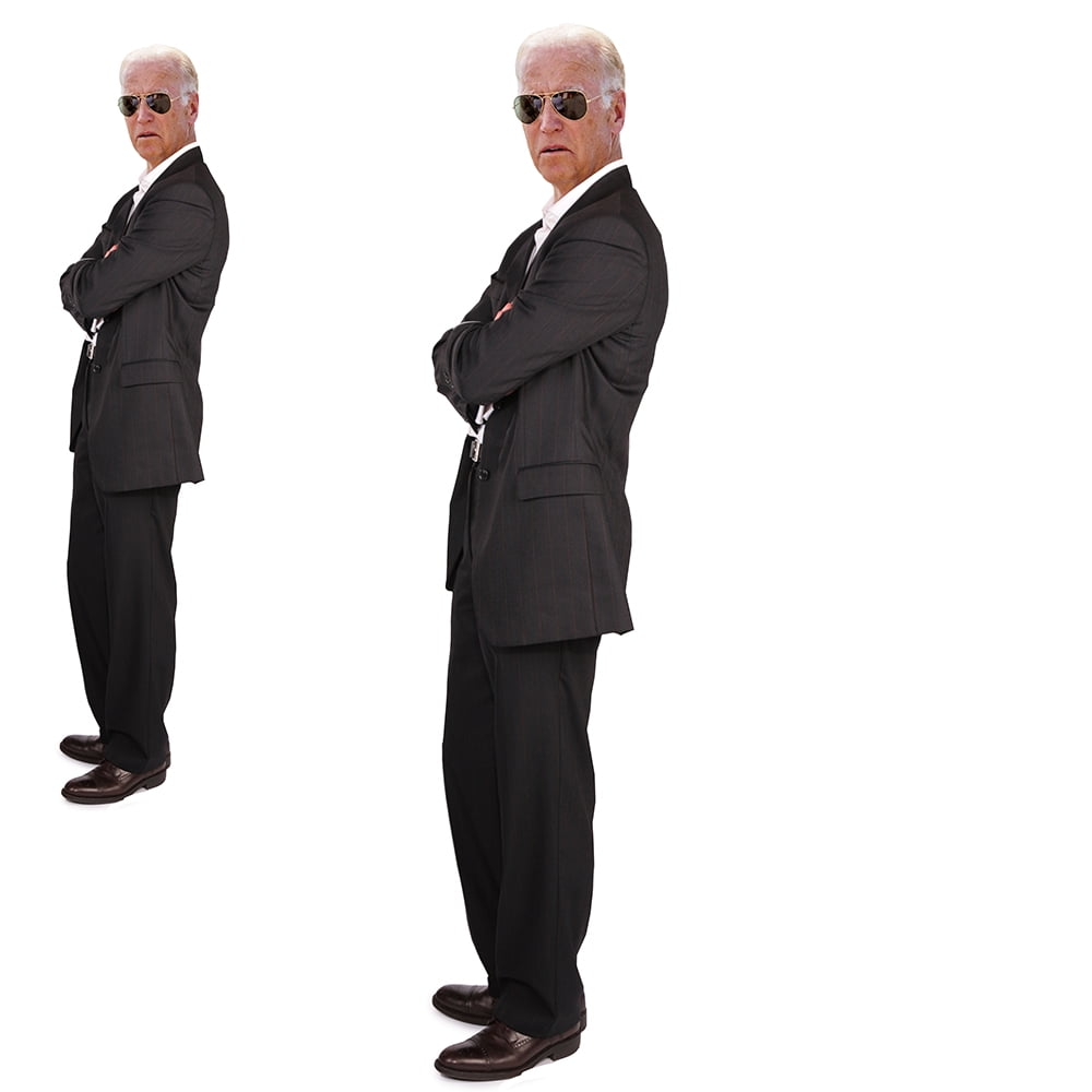 H25921 Aviator Biden Cardboard Cutout