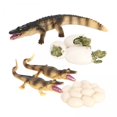 thumbnail image 1 of Paquete de 3-4 ciclo de naturaleza Baoblaze modelo Animal Natural 3 piezas Juego de crecimiento de insectos para niños, 1 of 8