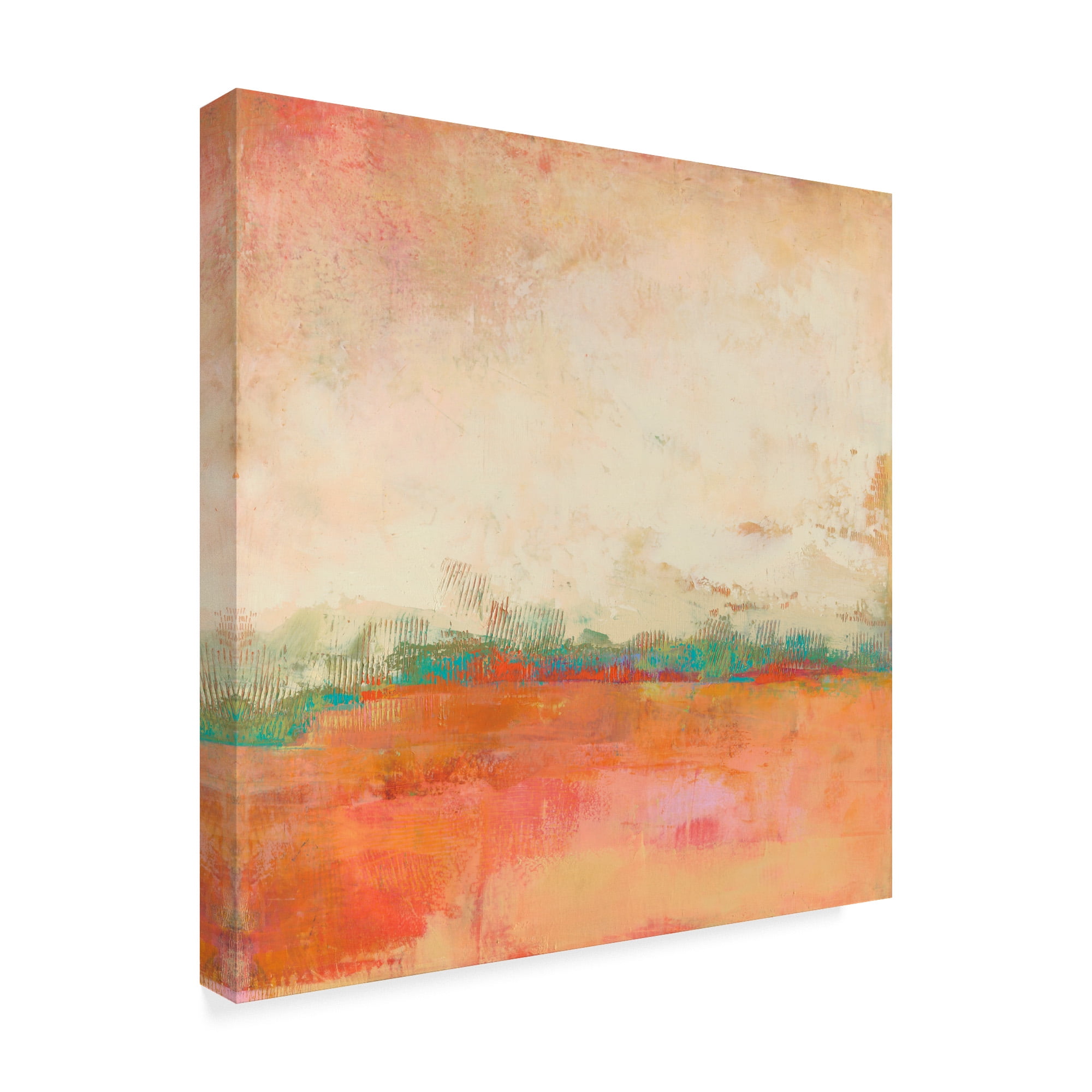 Trademark Fine Art 'Apricity I' Canvas Art by Sue Jachimiec