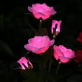 thumbnail image 5 of Douhoow 1 Piece Solar Light Solar Powered Rose Light Flower Stake Garden Yard Decoration, 5 of 10