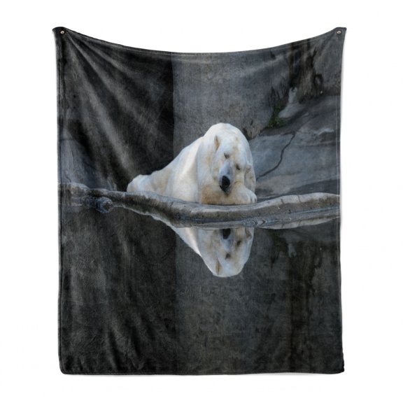 Bear Soft Flannel Fleece Throw Blanket, Sleeping Polar Bear at the Zoo with Water Reflection Peaceful Calm Nature, Cozy Plush for Indoor and Outdoor Use, 50" x 70", Cream Grey Black, by Ambesonne