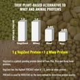 thumbnail image 5 of Plant Based Protein Powder Chocolate - Lactose & Dairy Free Protein Powder - Vegan Protein Shake Meal Replacement with Fava, Mung, Rice & Pea Protein, Low Carb, Keto, Sugar & Gluten Free, 21g, 5 of 10
