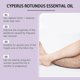 thumbnail image 5 of Natural Cyperus Rotundus Oil For Hair Removal, Reduces Unwanted Hair Growth, Moisturizes & Soothes The Skin, Suitable For All Skin Types, 5 of 5