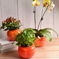 thumbnail image 3 of Plant Container 1 Set Non Deformation Eco-friendly Good 2 Layer Self-watering Plant Pot Desktop Decor, 3 of 4