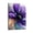 Frame, variant on Larbulse Purple Flower Splatter Ink Liquid Canvas Wall Art Home Decor Poster Vintage Funny Print Picture Abstract Bedroom Living Room Kitchen Posters Decor