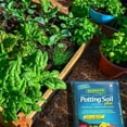 thumbnail image 2 of Schultz® Potting Soil Plus 18L, 2 of 4
