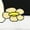 White, variant on Mushrooms & Flowers Adult White Long Sleeve Hoodie-Medium