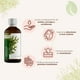 thumbnail image 1 of Thuja 100% Natural (Pack 2) Bioture Thuja 100% Natural (Pack 2), 1 of 2