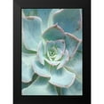 thumbnail image 2 of Bryant, Susan 18x24 Black Modern Framed Museum Art Print Titled - Teal Succulent Vertical, 2 of 5