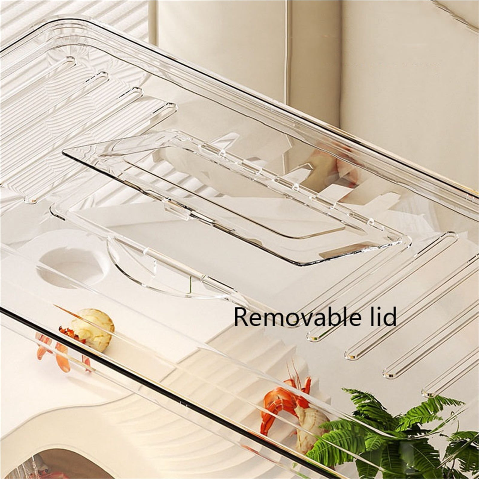 Transparent Turtle Viewing Tank Desktop Aquarium for Feeding and Observation