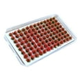 thumbnail image 1 of tredstone Modèle de Grappe de Fleurs Artificielles DIY Miniature pour Décoration Rouge, 1 of 9
