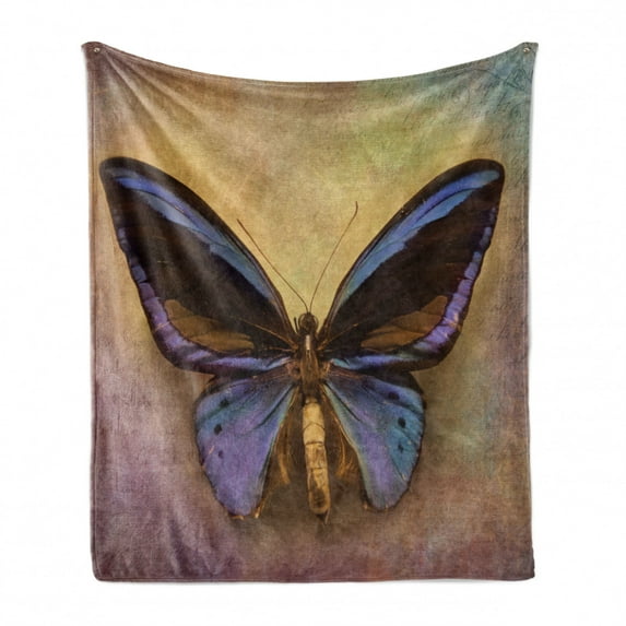 Butterfly Soft Flannel Fleece Throw Blanket, Monarch Butterfly Vintage British Grunge Victorian Photography Art Theme Print, Cozy Plush for Indoor and Outdoor Use, 50" x 70", Multicolor, by Ambesonne