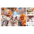 thumbnail image 5 of 750P CATS, 5 of 5