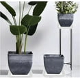 thumbnail image 2 of GIXUSIL Square Plant Saucer 9 x 9 Inch, 10 Pack Plastic Plant Water Dray Tray Plants, Pot Saucers for Plants Square Planters for Indoors and Outdoors Plants，Saucer for Plant Pots,White, 2 of 7